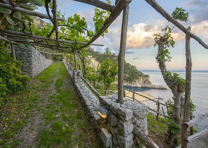Farm stay Cannaverde - Amalfi Coast Camp