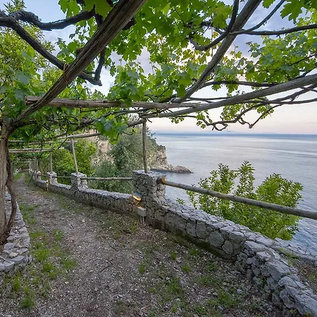 Farm stay Cannaverde - Amalfi Coast Camp *
