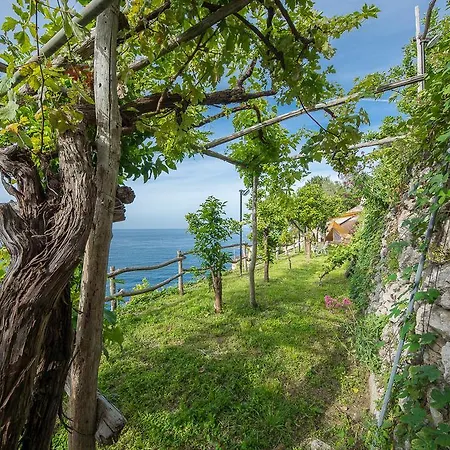 Farm stay Cannaverde - Amalfi Coast Camp Maiori