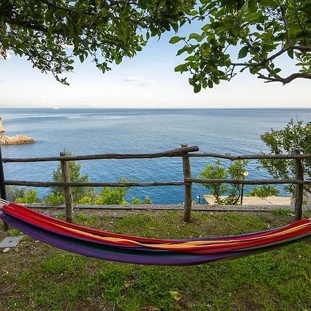 Farm stay Cannaverde - Amalfi Coast Camp Maiori