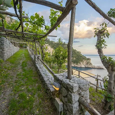 Séjour à la ferme Cannaverde - Amalfi Coast Camp