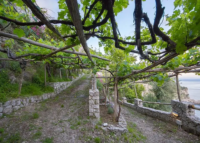 Gospodarstwo agroturystyczne Cannaverde - Amalfi Coast Camp *